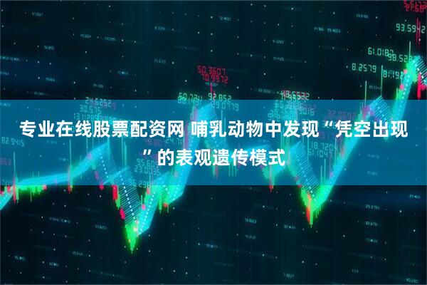 专业在线股票配资网 哺乳动物中发现“凭空出现”的表观遗传模式